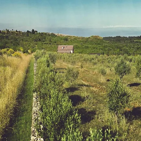 Biba Ranch Holiday home *
