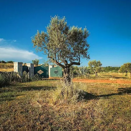 Biba Ranch