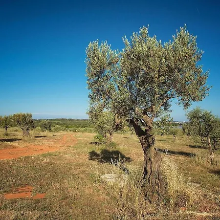 Biba Ranch Holiday home *