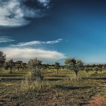 Biba Ranch Pula
