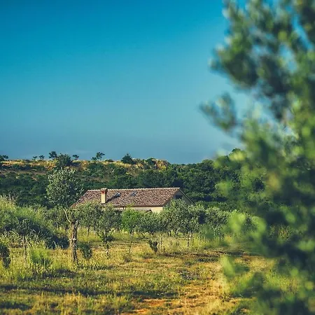 Biba Ranch 度假居 *