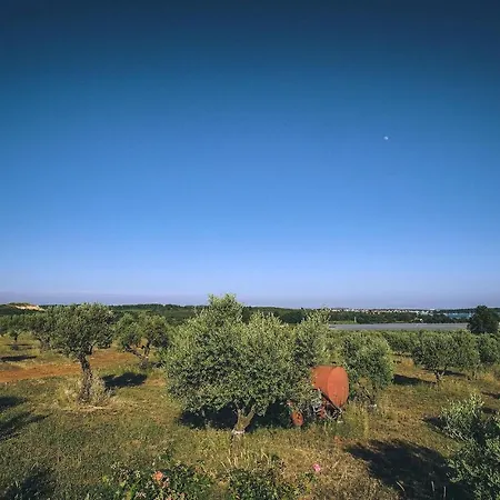 Biba Ranch 度假居 *